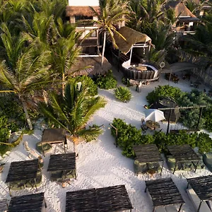 4* Hotel Orchid House (adults Only)